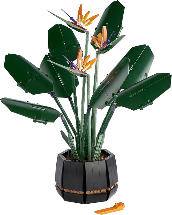 Icon birds of paradise flower set 10289