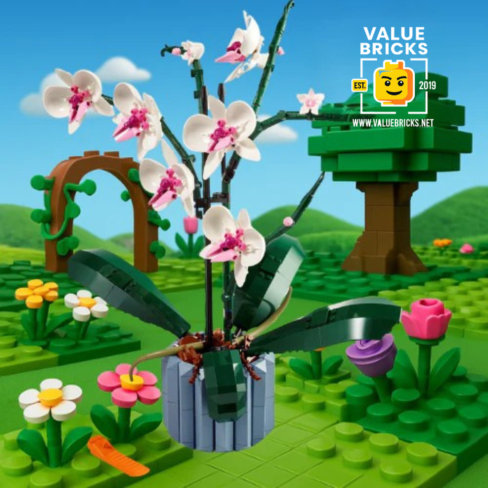 Orchid Botanical 10311