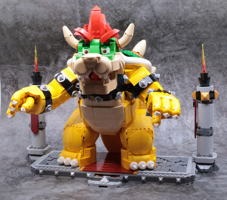 King Mighty Turtle 71411